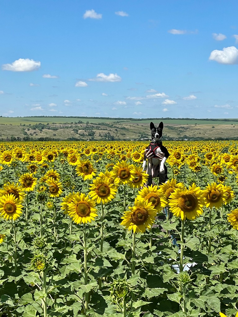 Фотография